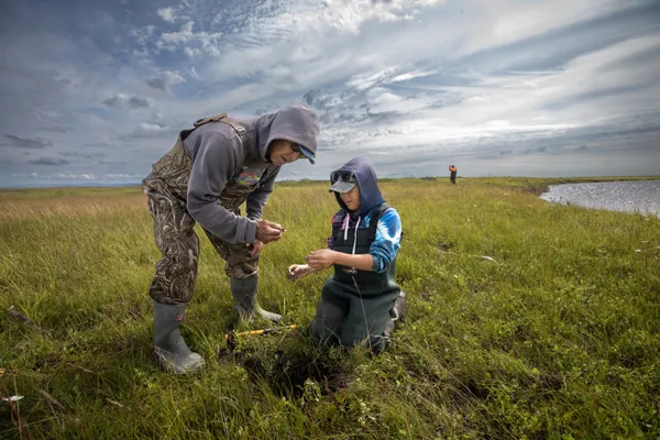 Finding Sweetvetch thumbnail