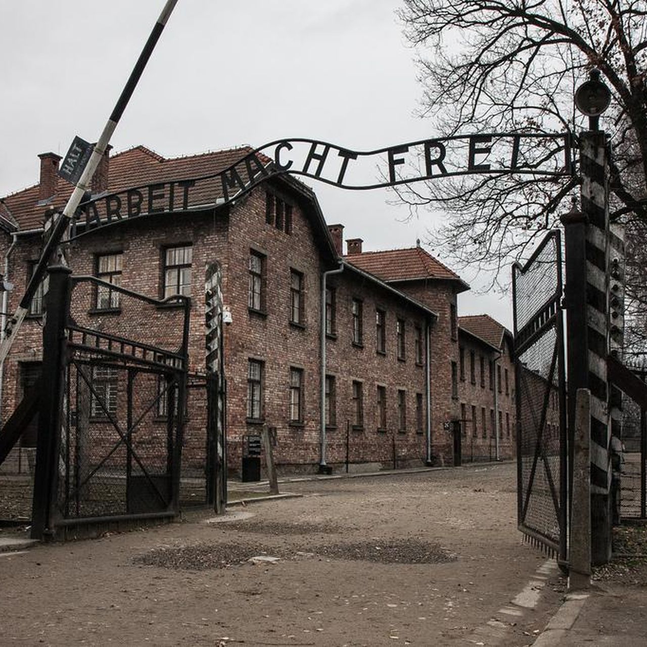 Use the Phrase Polish Death Camps in Poland and You May Go to Jail