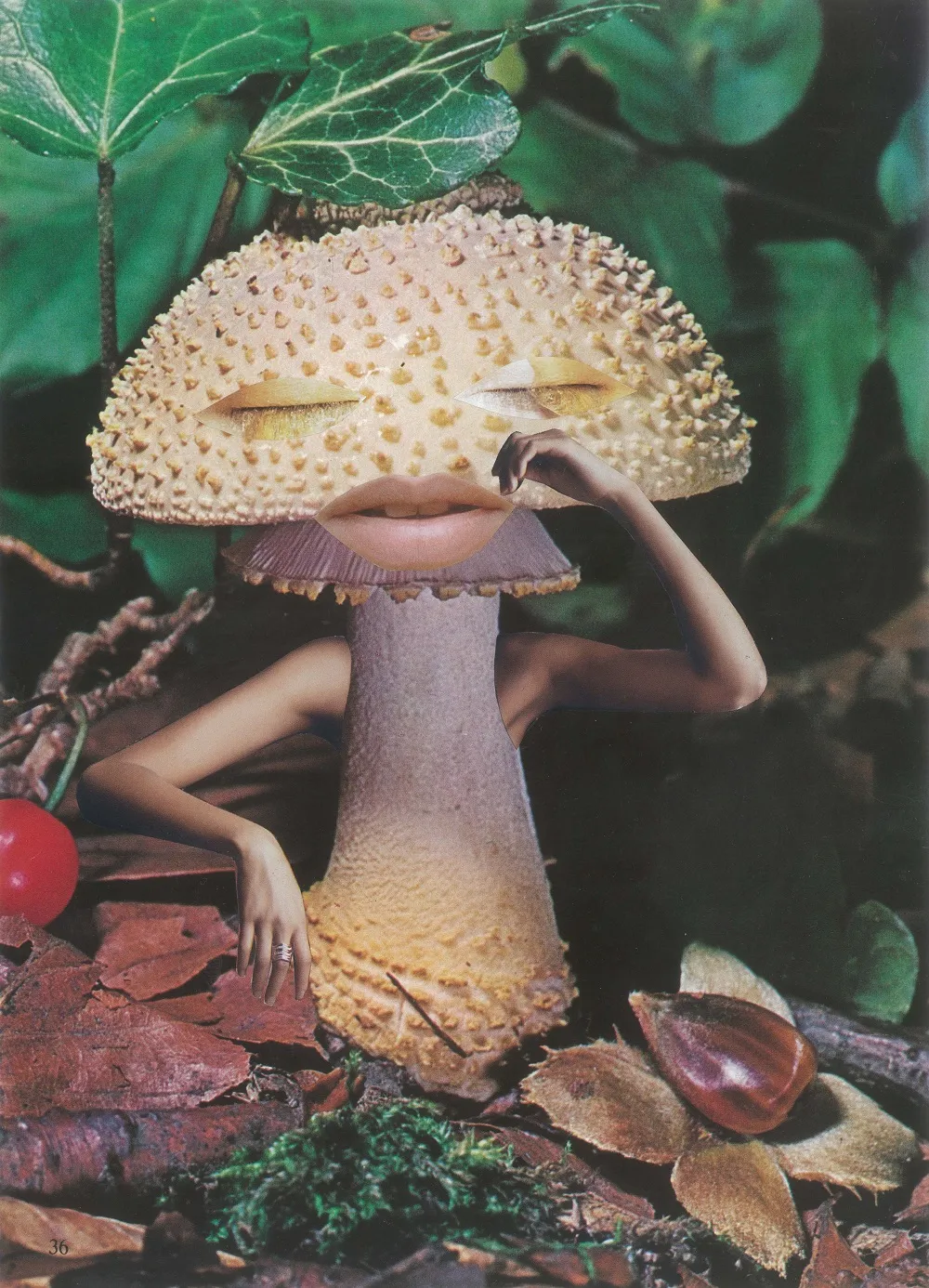 Get a Taste for Mushroom Art at This New, Fungus-Forward Exhibition