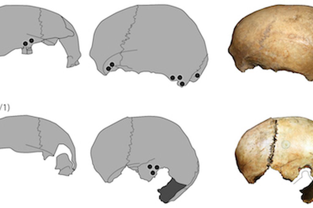 Skull cups from Gough's Cave