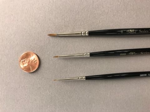 three paint brushes and a penny.