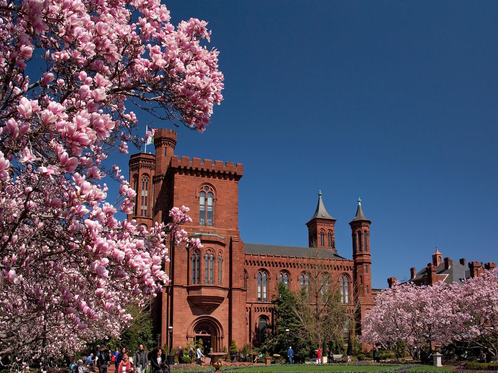 Smithsonian Castle in spring