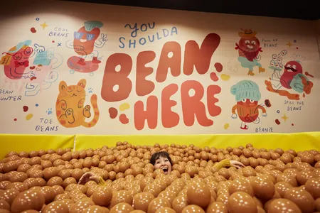 The museum is filled with interactive exhibits and activities, including a bean-themed ball pit play area.