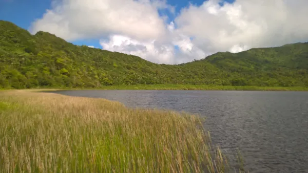 Grand Etang Lake thumbnail