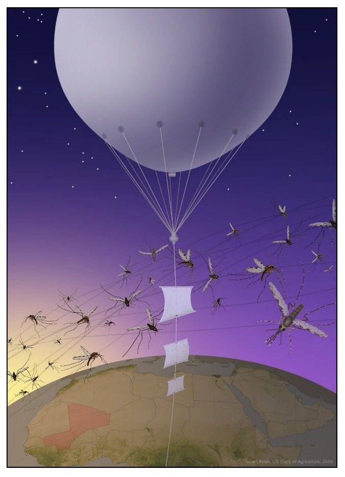 A white balloon above the Earth with mosquitoes flying around it.