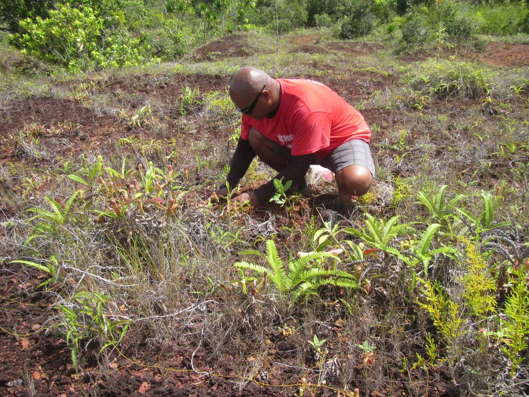 Man kneeling on grass