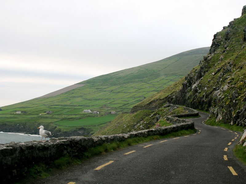 The Irish road ahead. Smithsonian Photo Contest Smithsonian Magazine