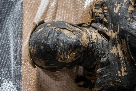 “When we saw the little foot and then the little hand [of the fetus], we were really shocked,” says anthropologist and archaeologist Marzena Ozarek-Szilke.