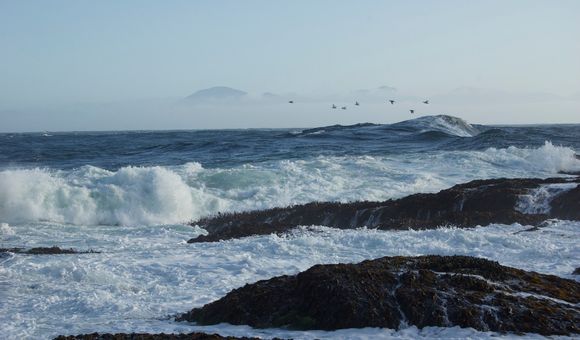As the ocean continues to warm, scientists look to the past for answers on how to manage today’s environmental problems. (Sophie McCoy/NOAA)