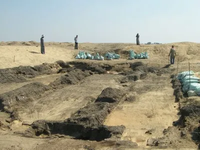 Researchers study burial sites like the Falcon Necropolis at Quesna to learn more about ancient Egyptian culture and biodiversity. The site is protected by the Egyptian Ministry of Tourism and Antiquities. 