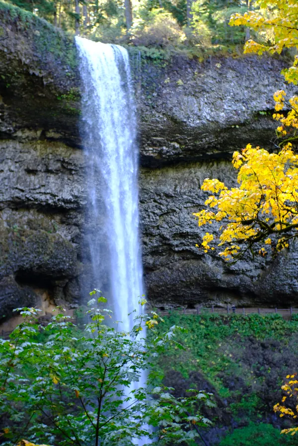 A waterfall while climbing in Silver Falls State Park thumbnail