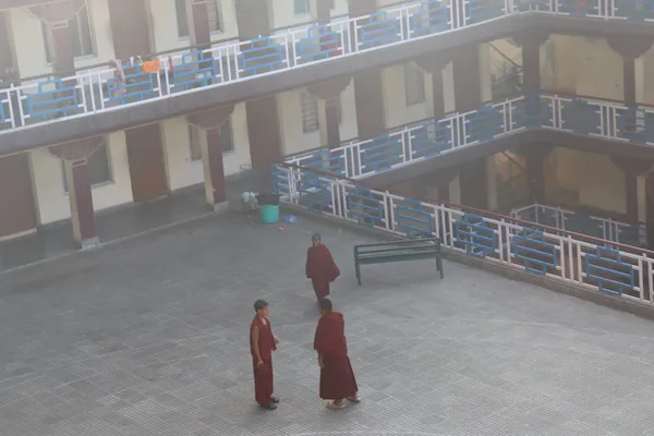 Young Monks ! thumbnail