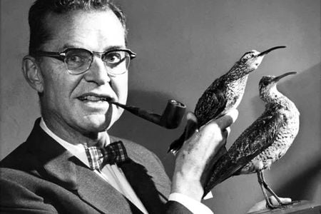 With headlines like &quot;This James Bond Catches Birds Instead Of Villains,&quot; newspapers nationwide had a field day when ornithologist James Bond found a rare curlew in 1965&mdash;a species considered extinct for more than a decade.