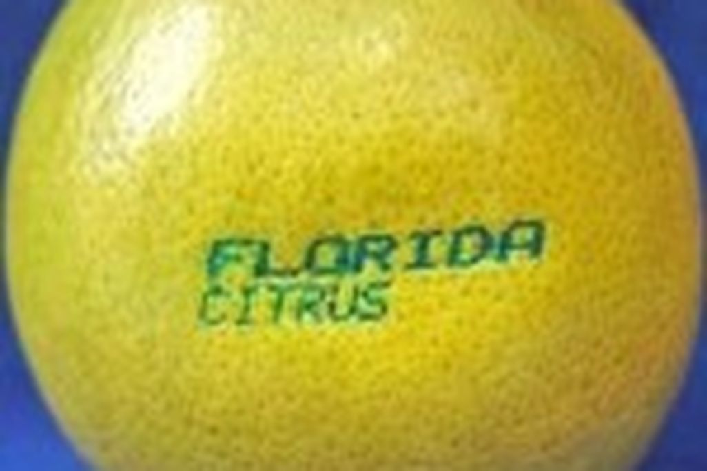 20110520090100grapefruit090831-150x148.jpg