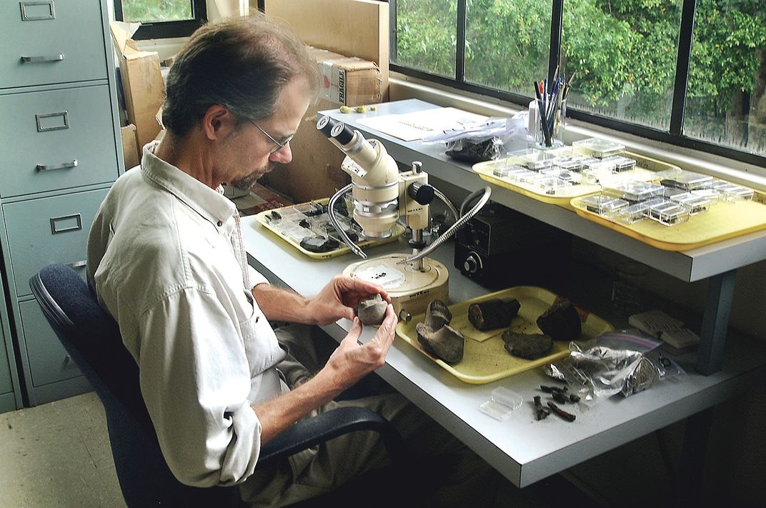 STRI scientist at work in lab
