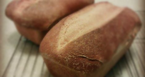 Homemade wheat bread