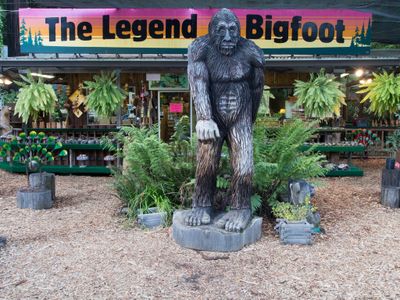Lloyd's of London is offering $10 million to anybody who proves Bigfoot exists.