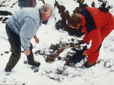 Hikers discovered&nbsp;&Ouml;tzi the ice mummy in September 1991 in the Tyrolean Alps.