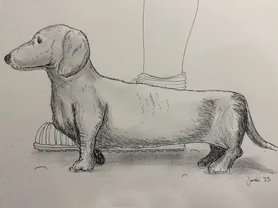 An illustration of the small dog found at a Roman villa in Oxfordshire, England
