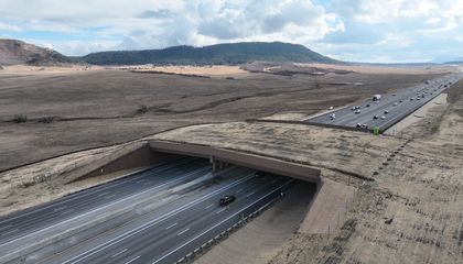 How Colorado's Wildlife Mitigation Efforts—Including the Largest Animal Crossing Overpass in North America—Are Making Everyone Safer