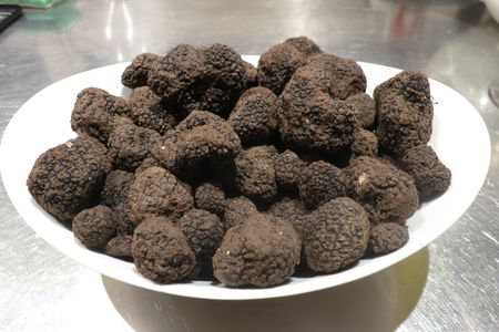 A bowl brimming with Burgundy truffles ready for analysis.