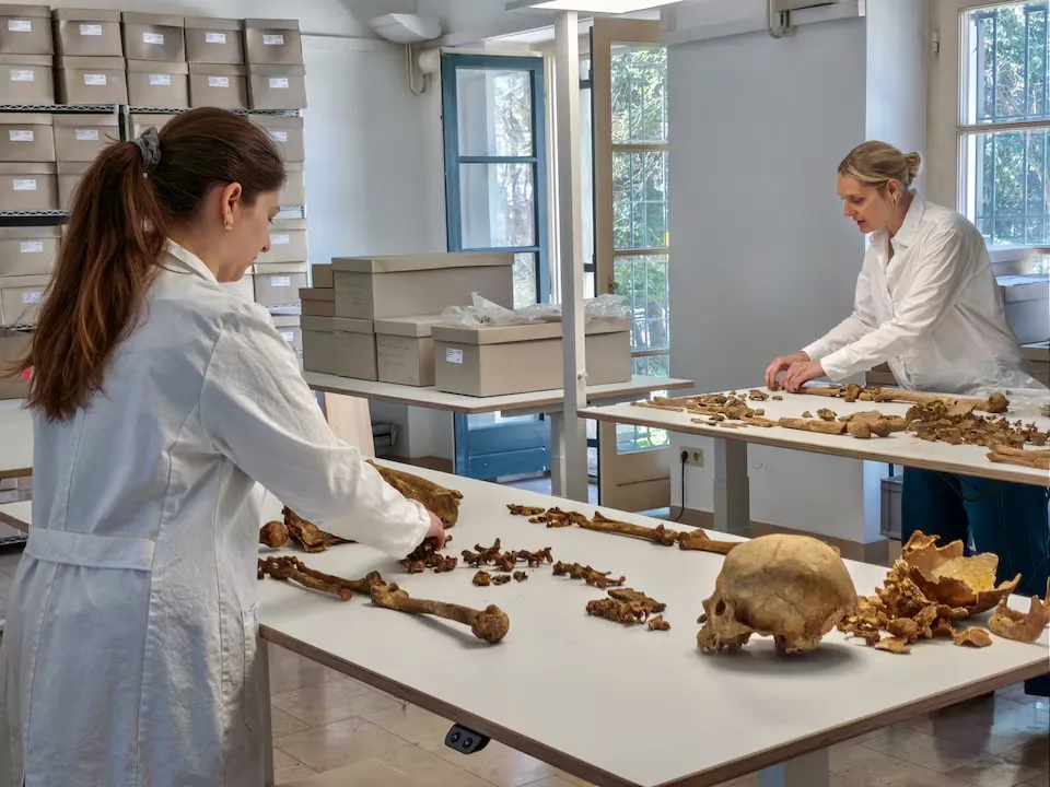 researchers