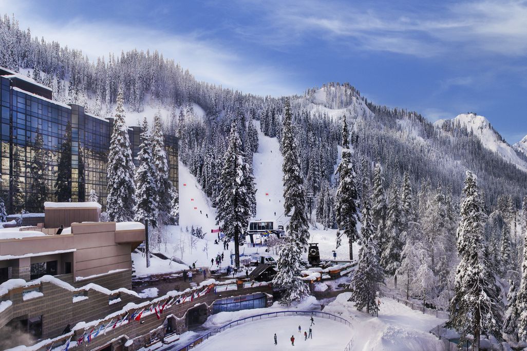Snow-covered resort with pool and evergreen trees