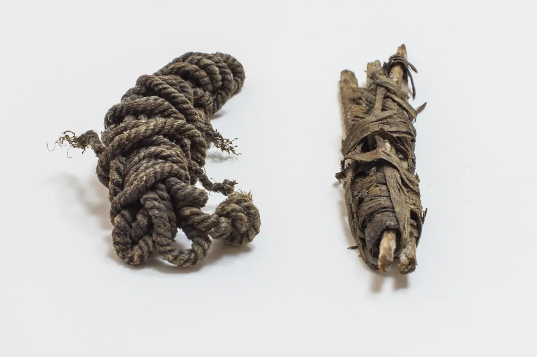 Two bundles of animal sinew from Otzi's quiver