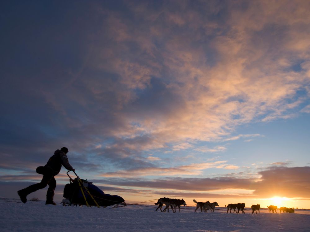 Iditarod 