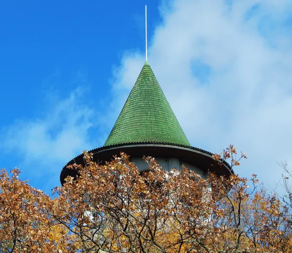 Witch's Hat Water Tower thumbnail