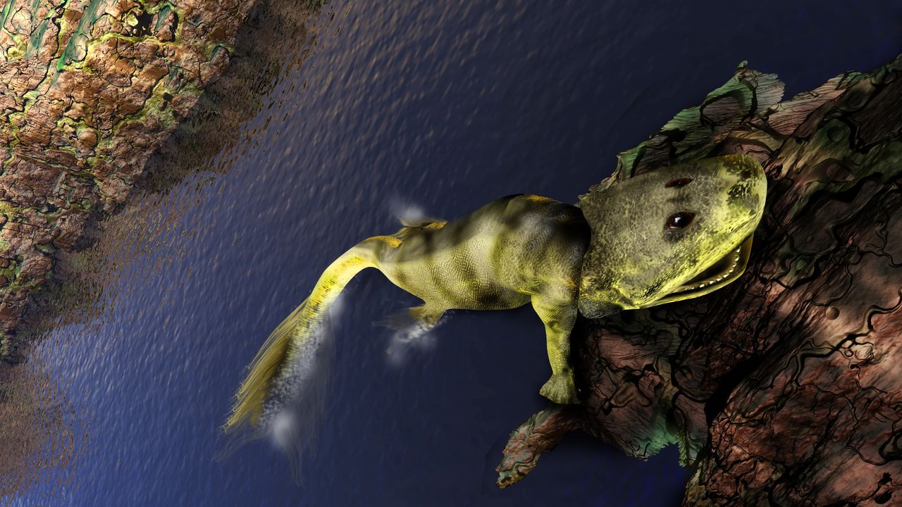 Evolutionary History Of Tiktaalik Roseae