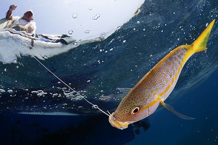 Climate change is causing oceans to warm, which in turn affects fish and fishers. Now, scientists are turning towards management strategies to protect species and the industry.
