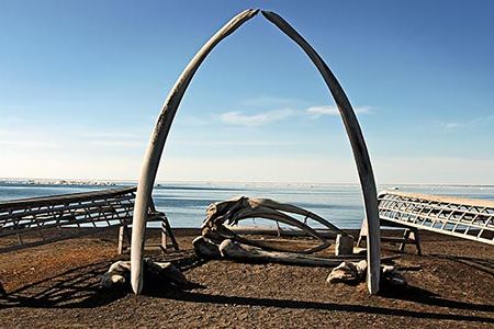 Scientists have been descending on the Alaska city of Barrow since 1973.  This monument made of whale bones is to lost sailors.
