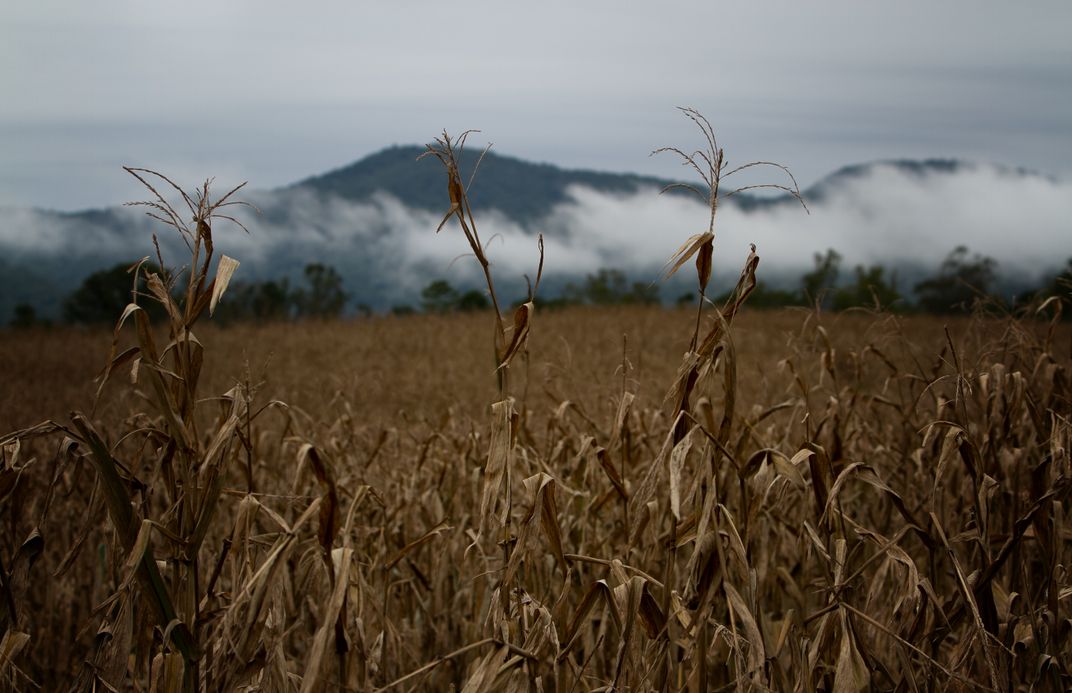 Among the Clouds | Smithsonian Photo Contest | Smithsonian Magazine