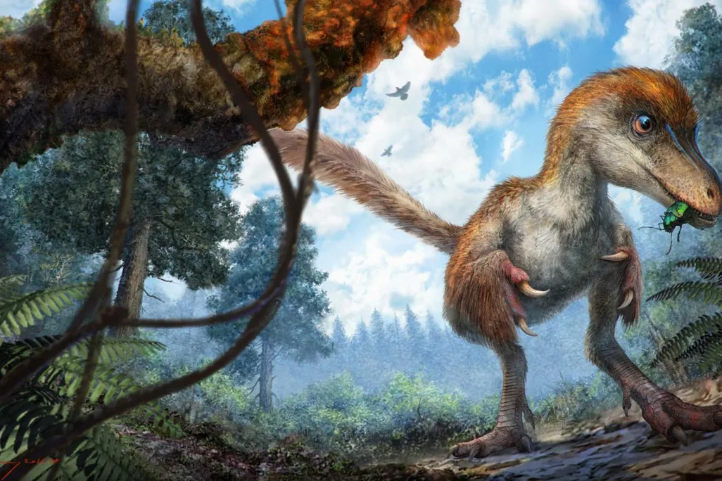 dinosaur - feathers.jpeg