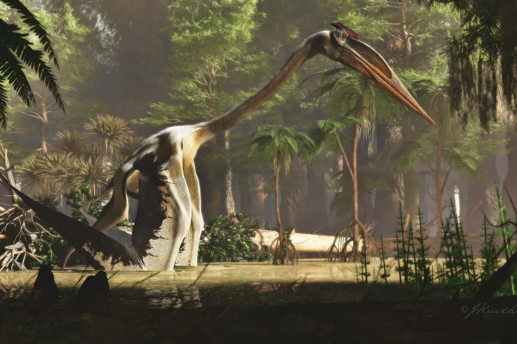 An illustration of Quetzalcoatlus walking through a marsh surrounded by lush trees. It walks on all fours with bat-like wings on its front legs; it's shaped like a giraffe with a small abdomen and a long neck. It has a huge head and a massive, pointy beak