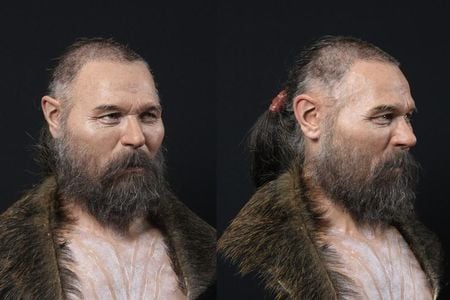 Facial reconstruction of a Scandinavian hunter-gatherer who was buried with a wooden stake at the base of his skull