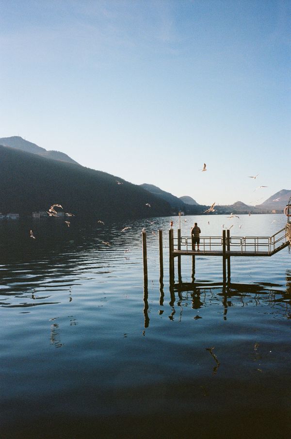 Early birds on Lake Lugano thumbnail