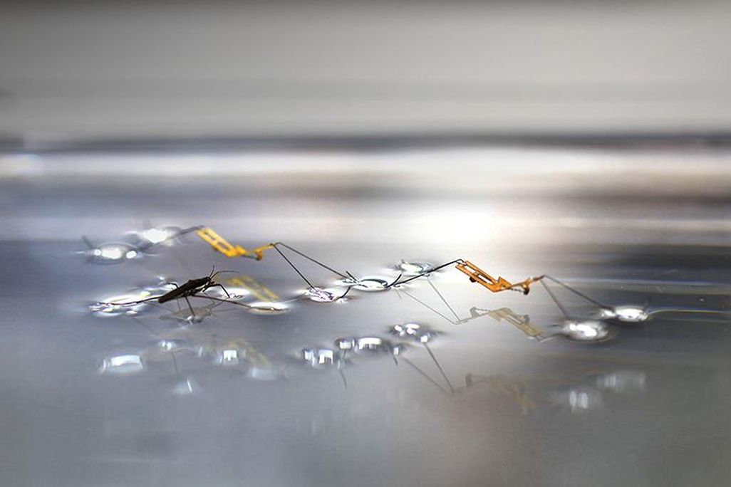 Water Strider Robot