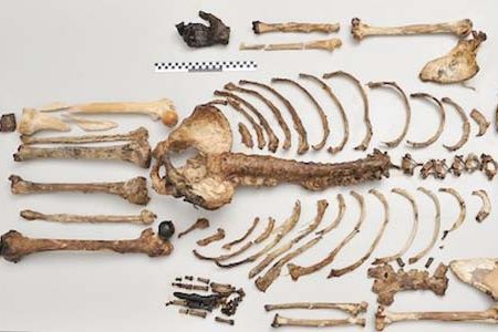 A new DNA analysis method reveals how ancient skeletons would have looked in the flesh.
