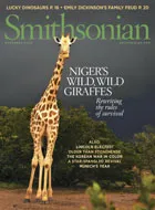 Cover of Smithsonian magazine issue from November 2008