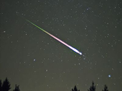 A Leonid meteor in 2009