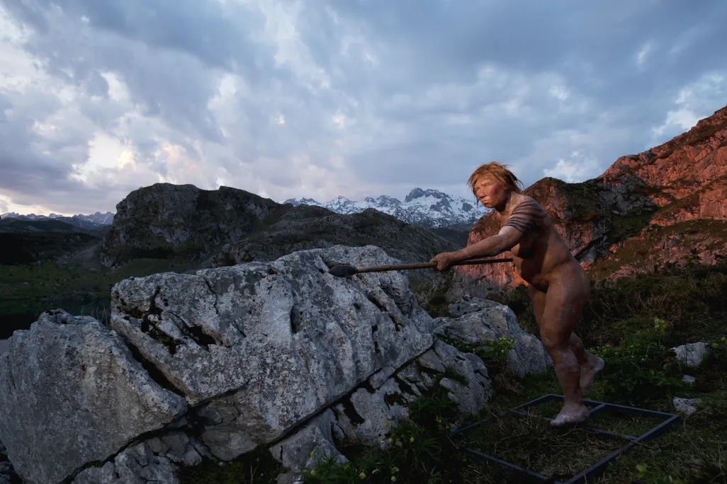 A model of a Neanderthal woman holding a spear next to a rock