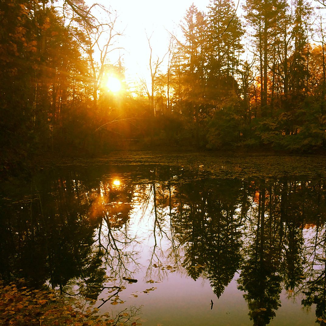 The Sunrise over an inland pond on a crisp fall morning. | Smithsonian ...