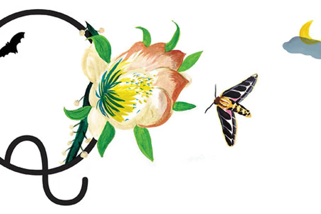Ask-Smithsonian-butterfly-631.jpg