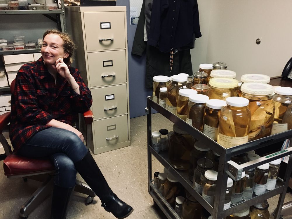 The author in her natural habitat.