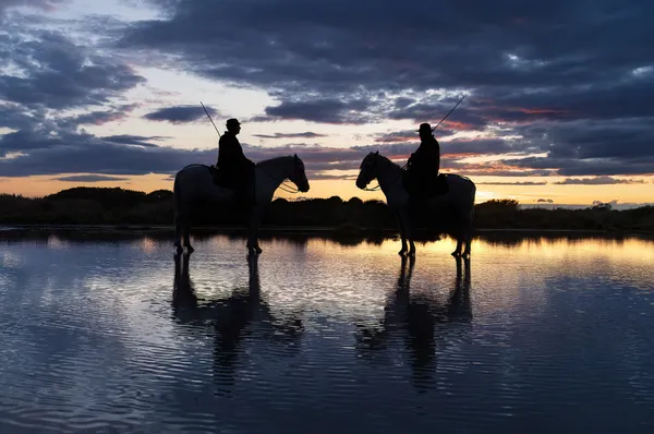 Camargue Horses, Silhouette thumbnail