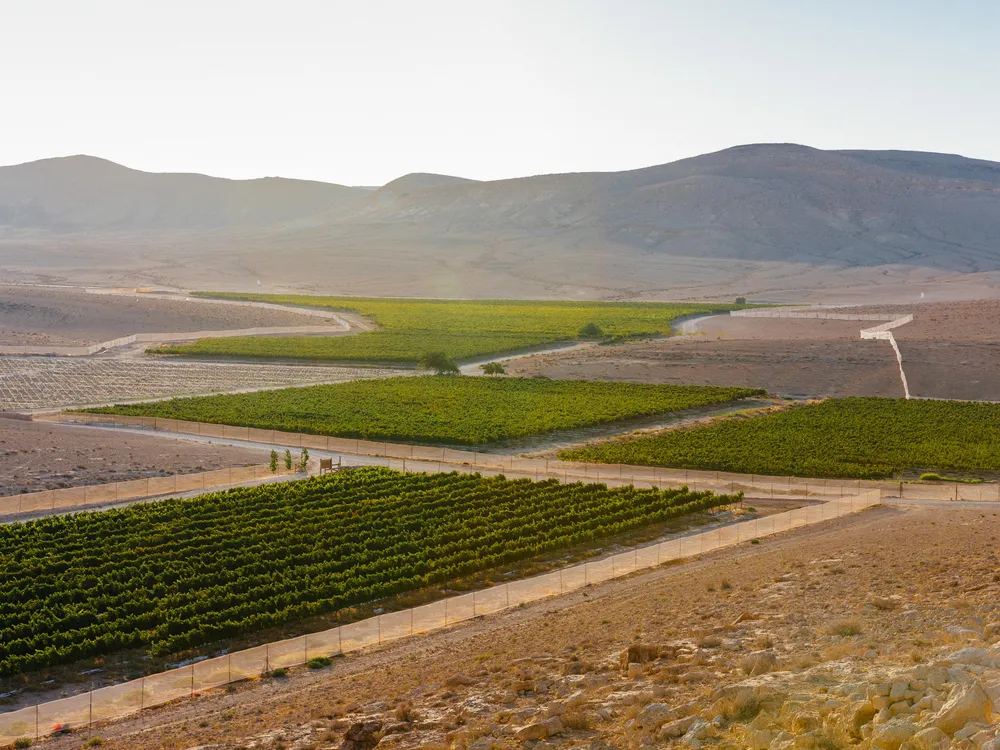 MOBILE - Green patches of Nana Estate Winery in the arid desert. 
