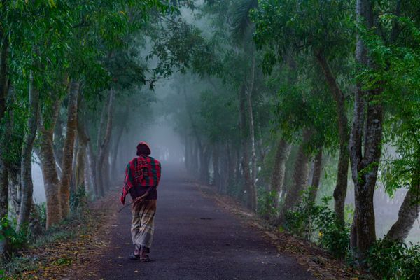 The Guardian's Path thumbnail