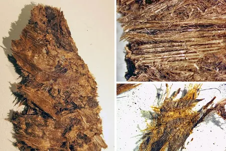 The warriors were buried with several layers of feather bedding.